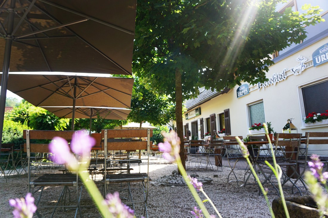 Pferchtal 464 07-2016